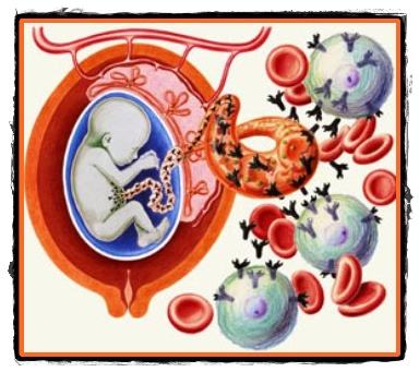 Titrarea anticorpilor in sarcina